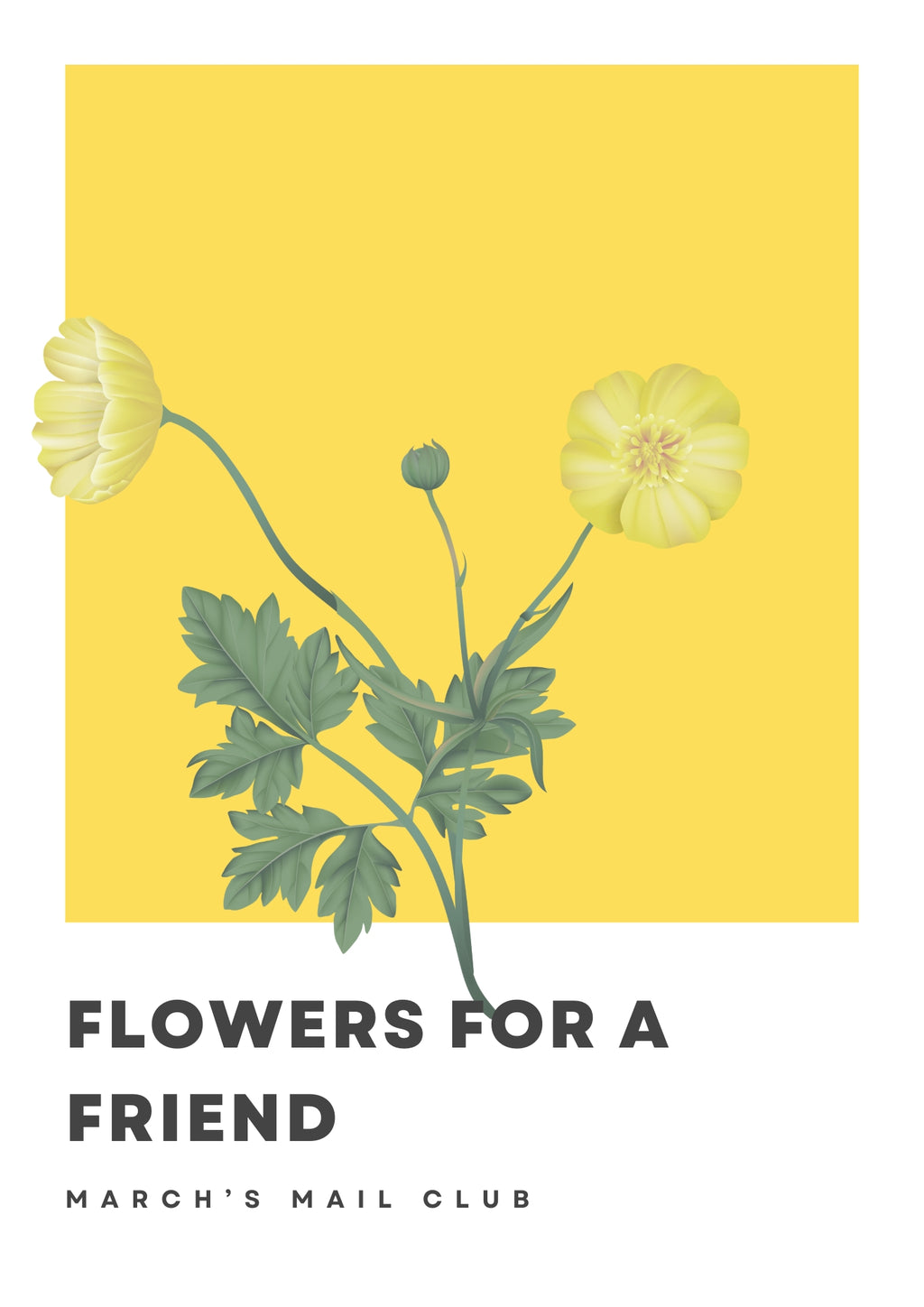March's Mail Club 💌 Flowers for a Friend